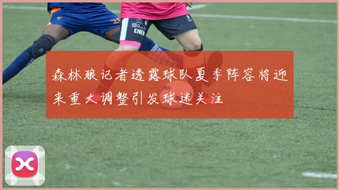 森林狼记者透露球队夏季阵容将迎来重大调整引发球迷关注