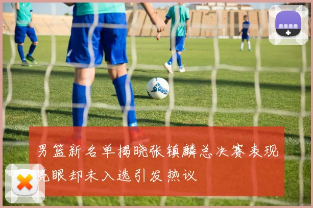 男篮新名单揭晓张镇麟总决赛表现亮眼却未入选引发热议