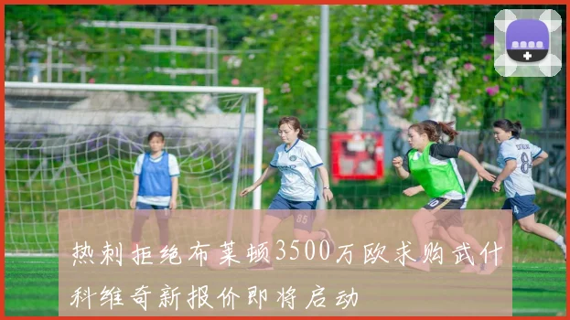 热刺拒绝布莱顿3500万欧求购武什科维奇新报价即将启动