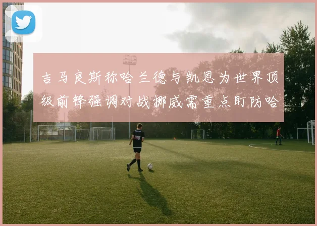 吉马良斯称哈兰德与凯恩为世界顶级前锋强调对战挪威需重点盯防哈兰德